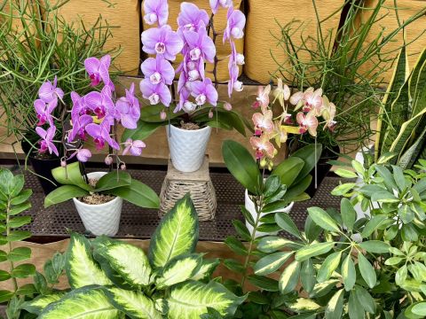 ご利用できます